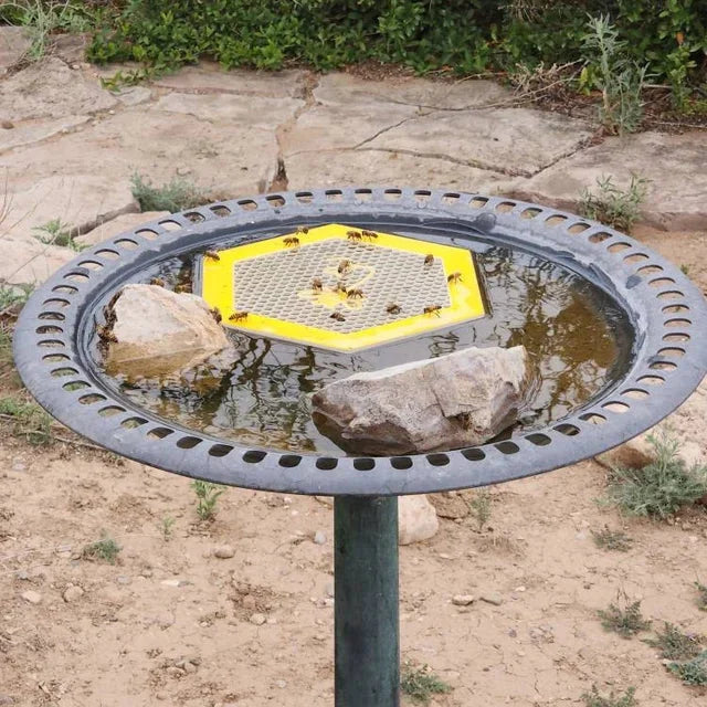 🐝 Floating Bee Island-Bee Waterer